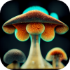 NFT spick